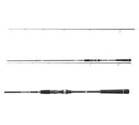 DAIWA Prorex S Spin, 2,40m, 10-30g, 2 Brins, Extra Rapide, Rapide, Canne à Pêche Spinning