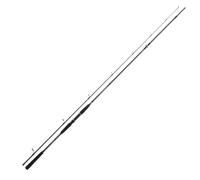 DAIWA Seahunter X Sea Trout 1022ML, 2 Brins, 3,10m, 10-40g, Canne à Pêche en Mer, 11533-312