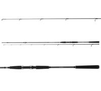 DAIWA SEAHUNTER X SEA TROUT, 3,1m, 10,17ft, 10-40g, 2 pièces, canne à pêche, medium fast action, 11533-312