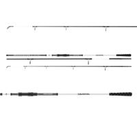 Daiwa Seahunter X Surf 3.90m 100-250g
