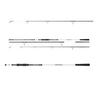 DAIWA Seahunter X Surf Canne à pêche Surf 4,20 m 100-250 g 3 pièces