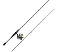 Daiwa Rs702hfsaf+rs4000 Spinning Combo Doré 2.13 m / 14-42 g