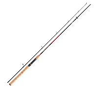 Daiwa Sweepfire Spin Canne à pêche 2 pièces Spin 3 m 10-40 g
