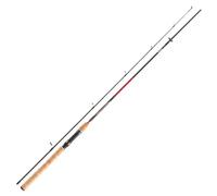 Daiwa Sweepfire Spin Canne à pêche, longueur 2,10 m, puissance 10-40 g, 2 parties