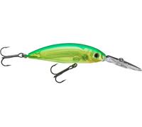 DAIWA Tournament Spike 53SP Lime Chart (tableau des limes)