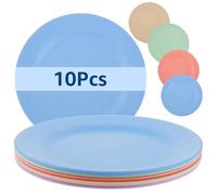 DAJAVE Lot de 10 assiettes plates de 28 cm, biodégradables, en plastique sain et incassable, pour enfants et adultes, passent au lave-vaisselle et au micro-ondes, sans danger et sain