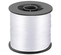 DAJISI Ligne de pêche transparente - 200 m - Monofilament - 0,8 mm - 18,1 kg - Fil de pêche invisible - Protection contre la corrosion - Pour la pêche en eau salée et eau douce - Guirlande de ballons