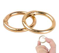 DAJISI Lot de 2 porte-clés dorés, ronds, 25 mm, avec grand ressort d'extraction, accessoires de bricolage, pour porte-clés, sac, sac à main