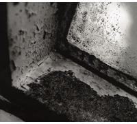 Dakota Suite - Hearts of Empty