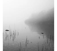 Dakota Suite - This River Only Brings Poison [Vinyl Lp]