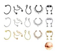 DALAETUS 15 Pièces Anneaux de Nez à Septum Magnétique Kit- Faux Piercing Nez en Acier Inoxydable, Faux Anneaux de Nez Acier Inoxydable, Couleur Acier, Or, Noir, Bijoux de Septum pour Femmes Hommes