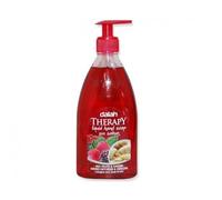 Dalan Therapy Savon Liquide Fruits Rouge Gingembre