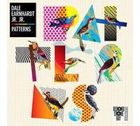 Dale Earnhardt Jr. Jr. - Patterns [Import]