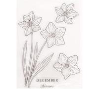 Daleaerom Tampons transparents en silicone motif fleurs Narcisse, pochoir à motif de narcisse, outil de gaufrage, moule pour loisirs créatifs