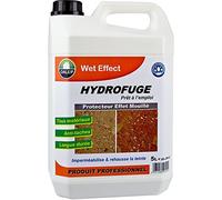 Hydrofuge protecteur aspect effet mouillé 1 L Wet Effect DALEP