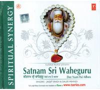 DALER MEHNDI , JAGJIT SINGH - SATNAM SRI WAHEGURU