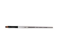 Daler Rowney - 212160008 - Kit De Loisirs Créatifs - Pinceau Plat Graduate pour Nuances - Taille 8