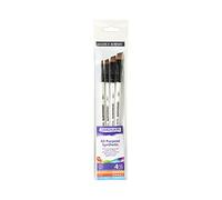 Daler Rowney – Kit de loisirs créatifs – Ensemble de 4 pinceaux Graduate pour nuances
