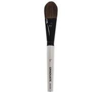 Daler-Rowney Graduate Natural & Synthetic Selection - Lot de pinceaux - 4 parties - rond, rondelle plate, oval wash, serpillière ronde - taille : 1, 1/2, 3/4 G