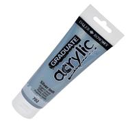 Daler Rowney Graduate Peinture acrylique Tube en plastique Argenté 120 ml