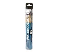 DALER ROWNEY - Lot de 10 pinceaux de Peinture Aquarelle