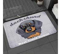 DALEXHM Tapis de Bain 40x60 cm, antidérapant,Doux,Absorbant l'eau,en Microfibre,pour la Salle de Bain,Lavable en Machine,Affiche avec Le Portrait d'un Teckel. Illustration vectorielle.