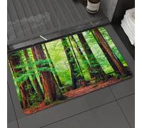 DALEXHM Tapis de Bain 40x60 cm, antidérapant,Doux,Absorbant l'eau,en Microfibre,pour la Salle de Bain,Lavable en Machine,Forêt d'arbres, séquoias, forêt pluviale du Nord-Ouest