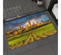 DALEXHM Tapis de Bain 40x60 cm, antidérapant,Doux,Absorbant l'eau,en Microfibre,pour la Salle de Bain,Lavable en Machine,Italie, vignobles de San Gimignano en Toscane. Architecture Historique. Ciel s