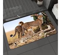 DALEXHM Tapis de Bain 40x60 cm, antidérapant,Doux,Absorbant l'eau,en Microfibre,pour la Salle de Bain,Lavable en Machine,Guépard et Ses Deux Petits Plus âgés, Masai Mara, Kenya