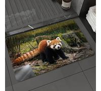 DALEXHM Tapis de Bain 40x60 cm, antidérapant,Doux,Absorbant l'eau,en Microfibre,pour la Salle de Bain,Lavable en Machine,La scène de guérison du Panda Roux dans la forêt