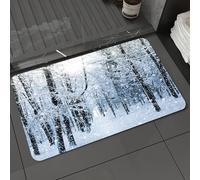 DALEXHM Tapis de Bain 40x60 cm, antidérapant,Doux,Absorbant l'eau,en Microfibre,pour la Salle de Bain,Lavable en Machine,Lumière du Soleil dans la forêt enneigée, Portrait Net dans la forêt enneigée