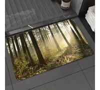 DALEXHM Tapis de Bain 40x60 cm, antidérapant,Doux,Absorbant l'eau,en Microfibre,pour la Salle de Bain,Lavable en Machine,Forêt de conifères d'automne par Un Matin Brumeux.