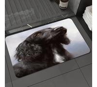 DALEXHM Tapis de Bain 40x60 cm, antidérapant,Doux,Absorbant l'eau,en Microfibre,pour la Salle de Bain,Lavable en Machine,Portrait d'un Chien Noir mystérieux, aux Longues Oreilles et au Regard Profond