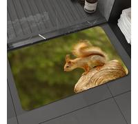 DALEXHM Tapis de Bain 50x80 cm, antidérapant,Doux,Absorbant l'eau,en Microfibre,pour la Salle de Bain,Lavable en Machine,Écureuil Assis dans la forêt, Animaux Sauvages, Rongeur du Soir
