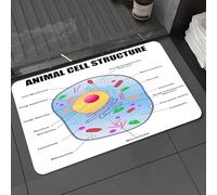 DALEXHM Tapis de Bain 50x80 cm, antidérapant,Doux,Absorbant l'eau,en Microfibre,pour la Salle de Bain,Lavable en Machine,Éducation, Thème de microbiologie : Structure de la Cellule Animale