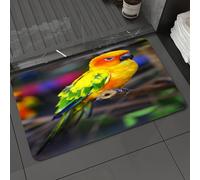 DALEXHM Tapis de Bain 50x80 cm, antidérapant,Doux,Absorbant l'eau,en Microfibre,pour la Salle de Bain,Lavable en Machine,Perruche à Queue de Conure perchée sur Une Branche d'arbre - Animaux Sauvages