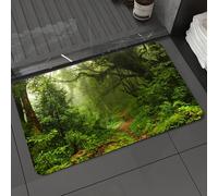 DALEXHM Tapis de Bain 50x80 cm, antidérapant,Doux,Absorbant l'eau,en Microfibre,pour la Salle de Bain,Lavable en Machine,Forêt Tropicale, Ensemble de randonnées touristiques au Népal, Routes de Brume