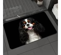 DALEXHM Tapis de Bain 50x80 cm, antidérapant,Doux,Absorbant l'eau,en Microfibre,pour la Salle de Bain,Lavable en Machine,Portrait d'un Cavalier King Charles Spaniel sur Fond Noir isolé