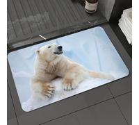 DALEXHM Tapis de Bain 50x80 cm, antidérapant,Doux,Absorbant l'eau,en Microfibre,pour la Salle de Bain,Lavable en Machine,Zoo, Portrait d'un Grand Ours Polaire Blanc sur la Glace. Antarctique Nord. Ex