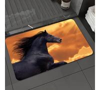 DALEXHM Tapis de Bain 60x100cm, antidérapant,Doux,Absorbant l'eau,en Microfibre,pour la Salle de Bain,Lavable en Machine,Animal, Portrait d'un Cheval Frison au Galop sous Les Rayons brûlants du solei