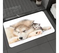 DALEXHM Tapis de Bain 60x100cm, antidérapant,Doux,Absorbant l'eau,en Microfibre,pour la Salle de Bain,Lavable en Machine,Un Chiot Malamute d'Alaska câline Un Minuscule Chaton.