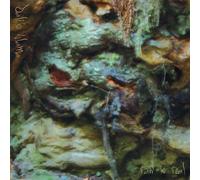 Dali's Llama - Raw is Real