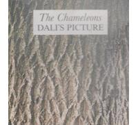 Dali's Picture by The Chameleons UK