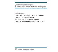 Dalla colpa alla funzione: i punitive damages e le nuove traiettorie della responsabilità civile
