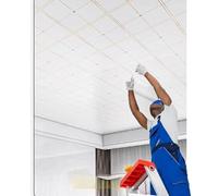 Dalle de plafond Dalles De Plafond Imperméables À Coller 30 X 60 Cm - 1, 5, 10, 15, 20, 30 Ou 40 Pièces - Panneaux De Plafond En Plastique PVC Pour Salle De Bain(10 pcs)