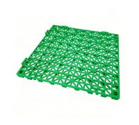 Dalles Clipsables Exterieur Carreaux Sol Emboîtement Drainage Durable Caillebotis Douche Débarras et Cave(Green,24pieces)