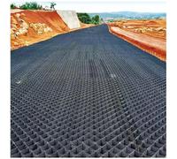 Dalles de Gravier alvéolées de 5 cm pour allée et terrasse, Grille de Sol en Plastique pour Base de cabanon de Camping et Jardin, 100 cm x 200 cm (39 po x 79 po)