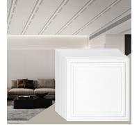 Dalles de Plafond-VEVOR-503 x 503 x 9,85 mm-Dalles de Plafond Suspendues-Revêtement de Plafond pour Décoration de Maison