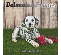 Dalmatian Puppies Calendar 2026: 12 month Organizer Jan 2026 to Dec 2026