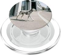 Dalmatien Moderne City Street Minimal Urban Scène PopSockets PopGrip pour MagSafe